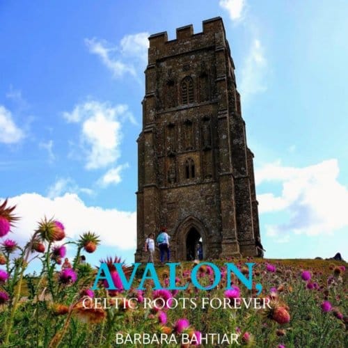 Avalon, Roses Of England - Barbara Bahtiar