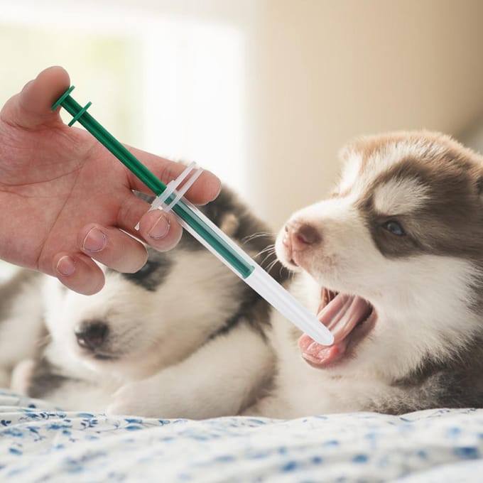 Huisdier Kat Hond Druktype Voeding Medicijnen Applicator Voeder Naald Droog Nat Dubbel Gebruik white