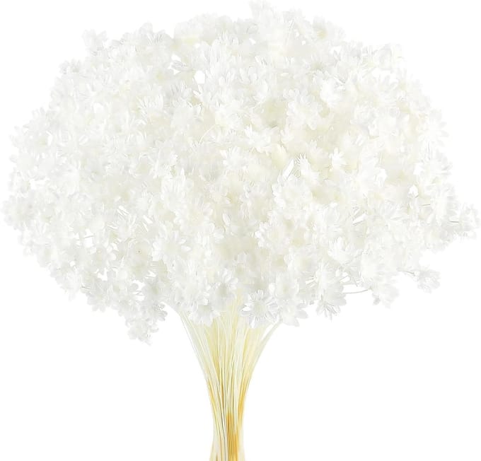 Solidchoice - 300 Stuks Gedroogde Bloemen voor Decoratie en Creativiteit