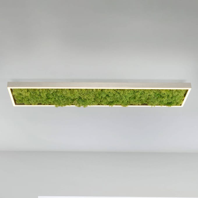 JUST LIGHT. GmbH LED plafondlamp Gerda Knut met echt mos