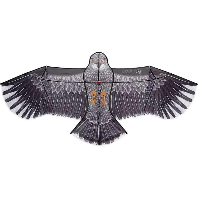 Dragon Fly Vlieger - Arend - Zwart/Grijs - 180 x 80 cm - Vanaf 6 jaar