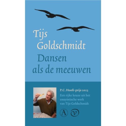 Dansen Als De Meeuwen - Tijs Goldschmidt