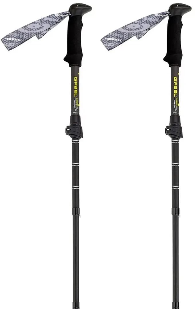 Gabel Mont Blanc 4.0 Stokken Zilver 66-141 cm