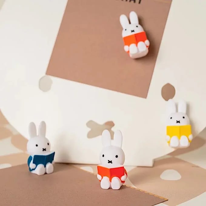 Magneet AP Junior Miffy Livre (x4)