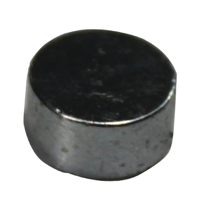 Buffalo Deur Magneet