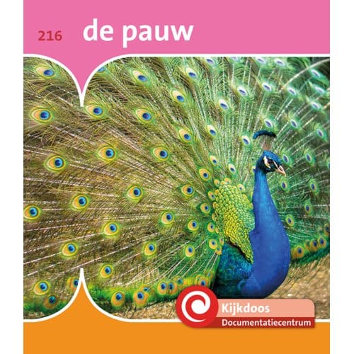 De Pauw - De Kijkdoos - Minke van Dam