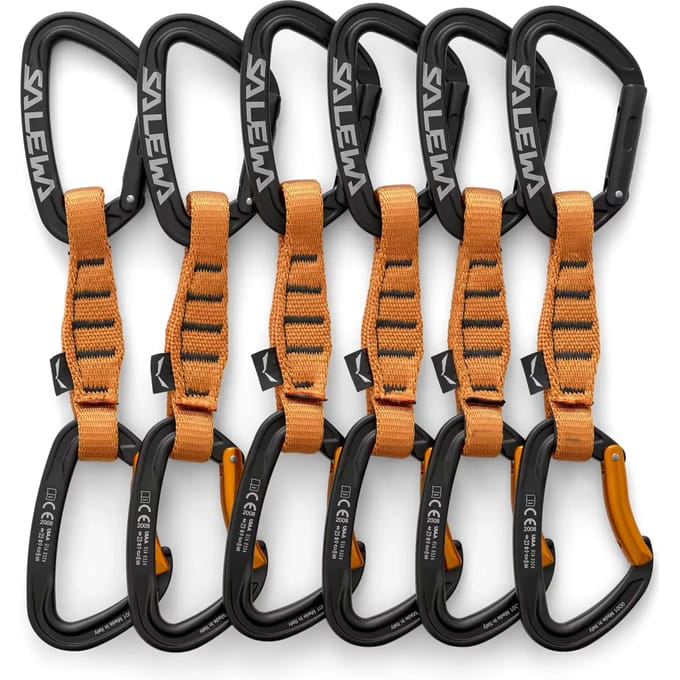 Karabijnhaak Salewa Ortles Str/bnt Qd (x6)