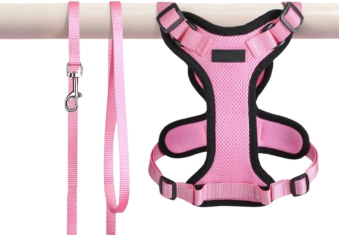 CLVP® Kattenharnas - Kattenrugzak - Roze
