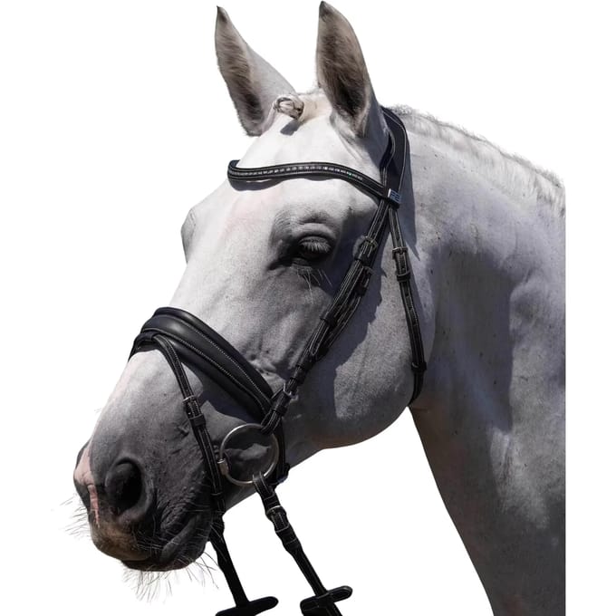 Paardentuig Premier Equine Veneto