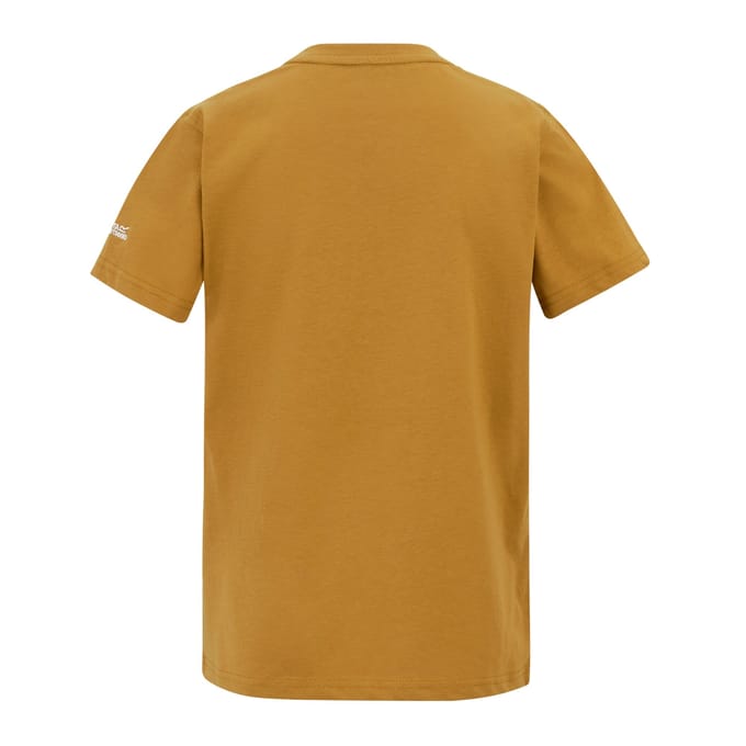 Regatta Kinderen Bosley Camping T-Shirt (Houtbruin)