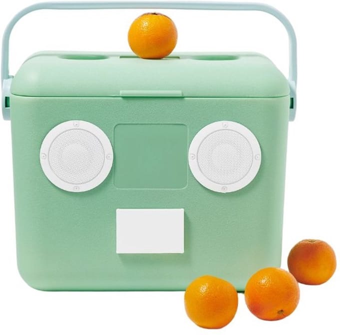 Sunnylife - Beach Accessoires Bluetooth Speaker en Koelbox Mint - Polypropyleen - Groen