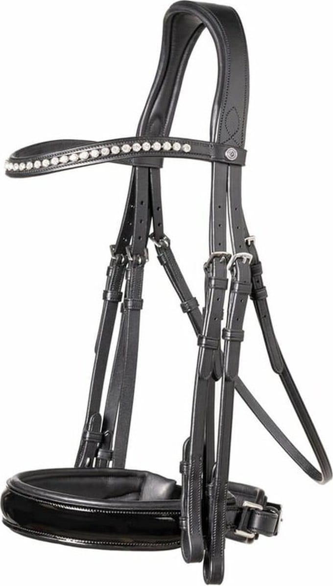 Aachen large crank noseband double bridle black/silver