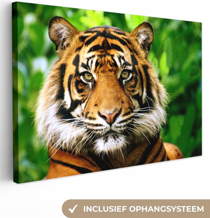 Canvas Schilderij Tijger - Kop - Bos - 90x60 cm - Wanddecoratie