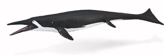 COLLECTA Figurine - Shastasaurus - (L) - Prehistorie - Handgeschilderd - Miniatuur