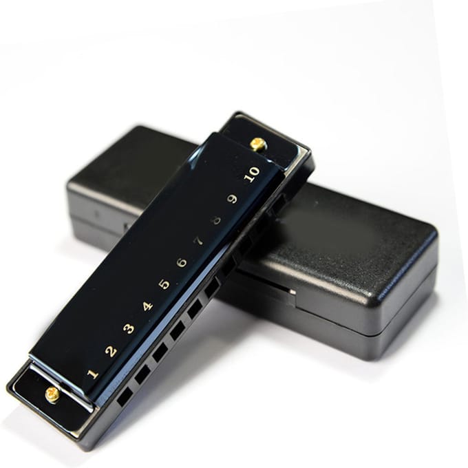 Harmonica 10 Trous Noir Brillant Léger Pratique Gamme Complète pour la Performance black