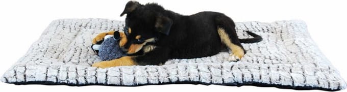 Jack And Vanilla - Benchkussens - Snakeskin Benchkussen - S 41/0492 - 183485