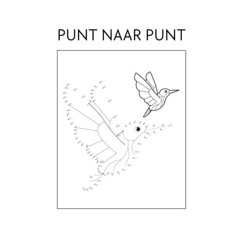 Punt Naar Punt - Andries B.V.