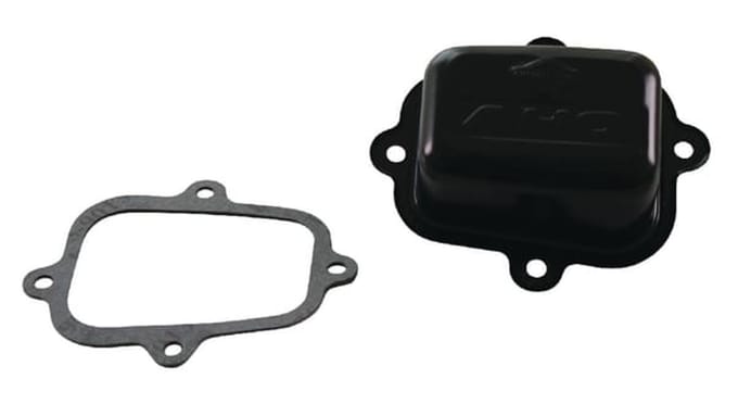 Briggs & stratton kleppendeksel met pakk