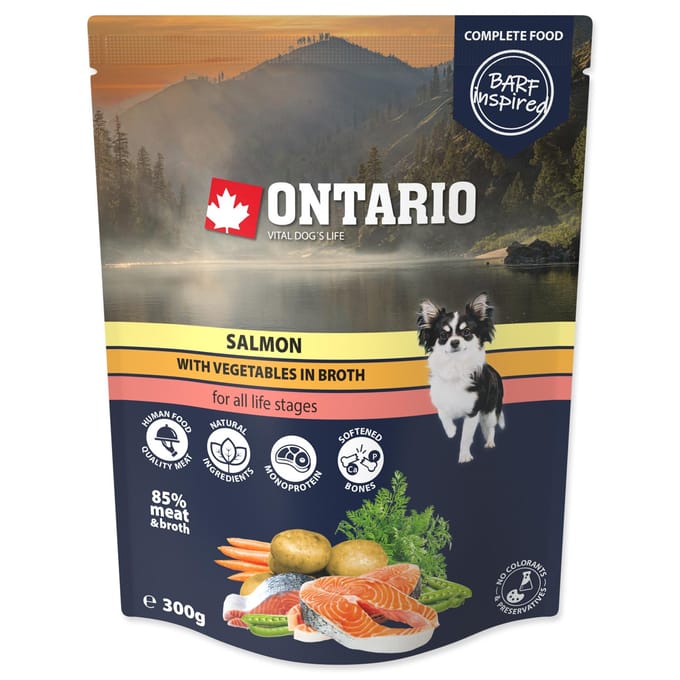 Ontario Saumon aux Légumes en Bouillon 300G