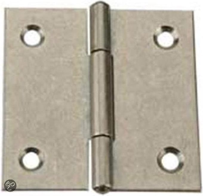 Vormann Scharnier RVS - 50 x 50 mm