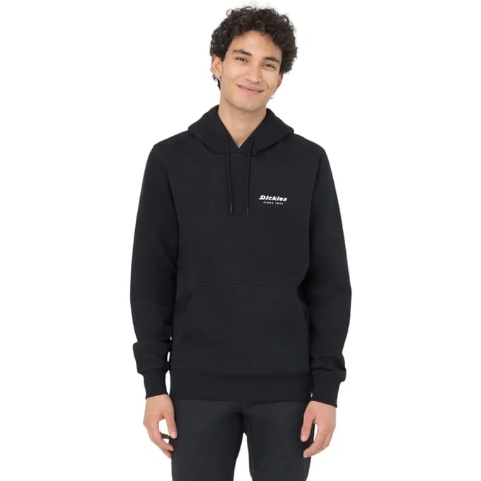 Hooded sweatshirt Dickies Leesburg Box