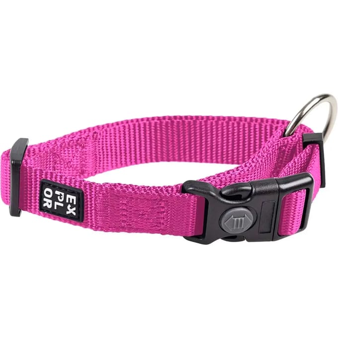 Hondenhalsband Duvoplus Fashion