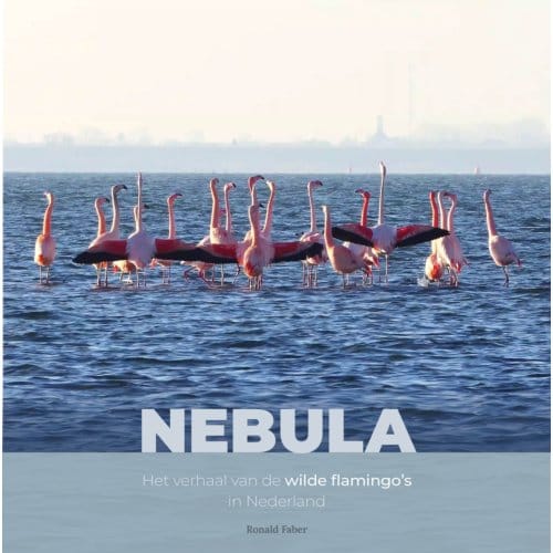 Nebula - Vogelfamilies - Ronald Faber