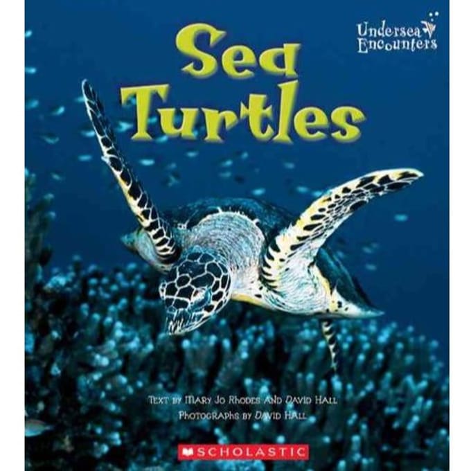 Sea Turtles (Undersea Encounters) - Mary Jo Rhodes