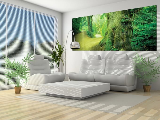 Forest Nature Trees Photo Wallcovering