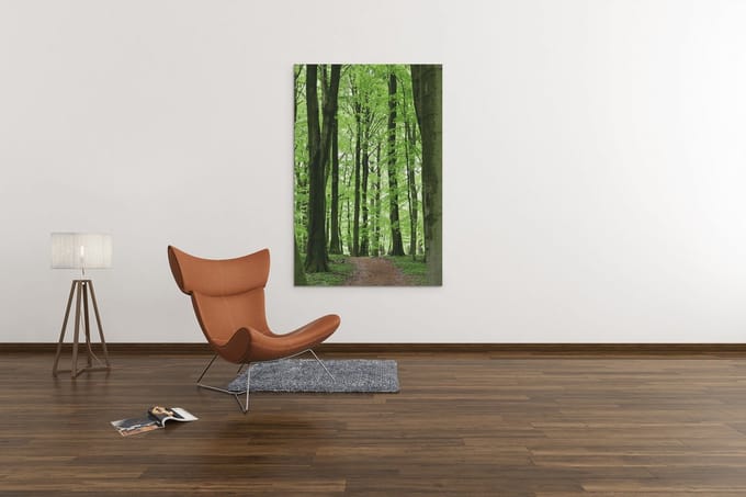 Canvas Schilderij - Natuur - Groene Bos - 90x60x2 cm