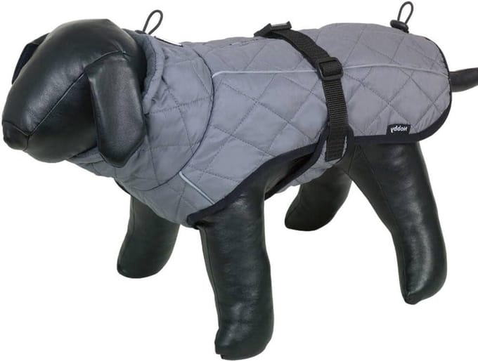 Hondenjas - Winterjas Hond - Bescherming Buiten - Waterdicht Winddicht - 44 cm - Grijs
