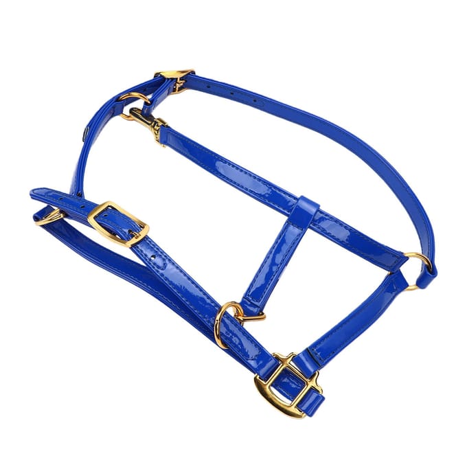 20mm Cuir de Bride de Cheval Double Couche Licol de Cheval Nettoyage Facile Imperméable Bleu blue
