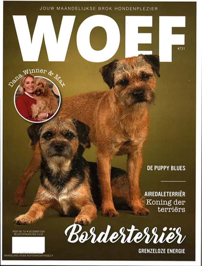Woef - 731 2024