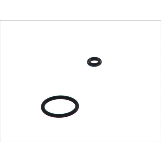 Multipoint injectie-element (injector O-ring, set) HANS PRIES 100 736