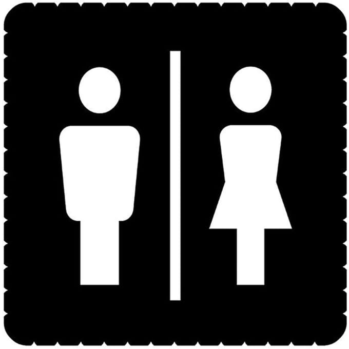 ABB Busch-Jaeger 2145/41-19 Ice Light Pictogram Toilet - 2CKA001714A0315