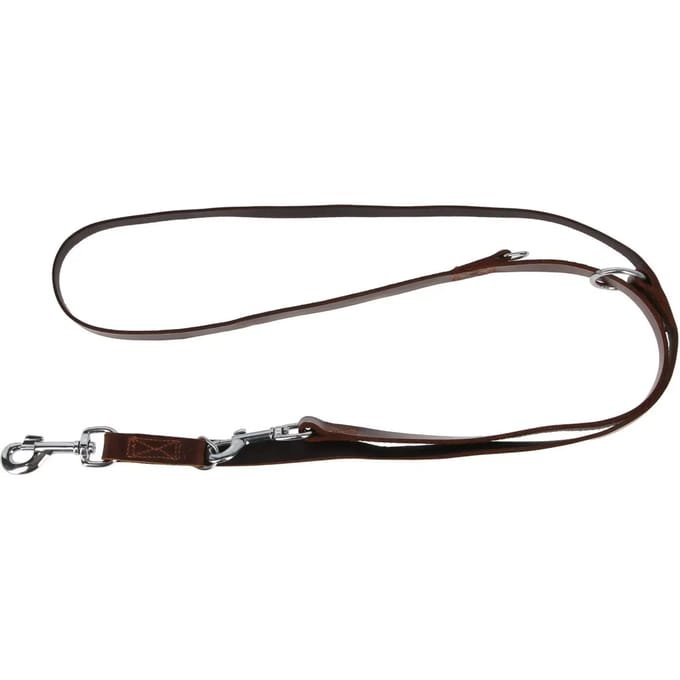 Dog Leash Alliance Kerbl Vegas