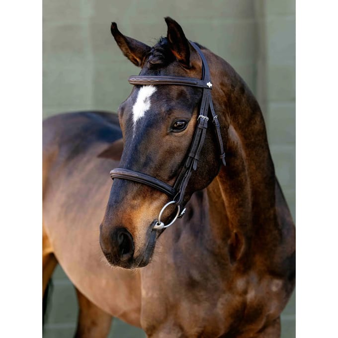 Bridons voor paard met neusriem LeMieux