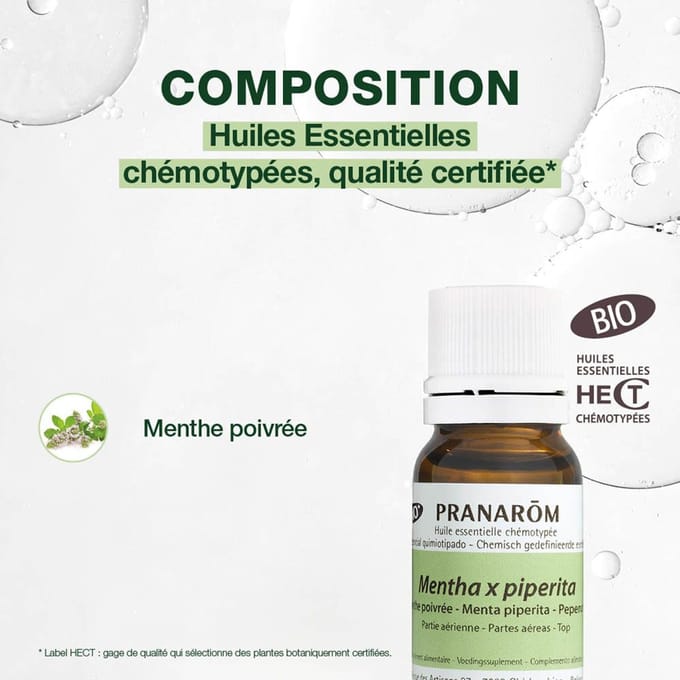 Pranarôm Essentiële Olie Pepermunt Bio | Spijsvertering & Tonus 10 Etherische olie