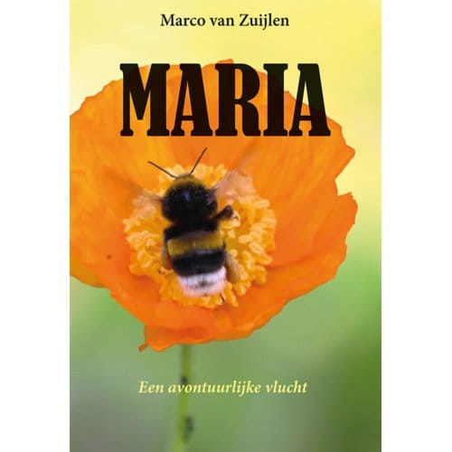 Maria - Marco van Zuijlen