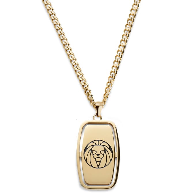 Icarus Gael Goudkleurige Dogtagketting