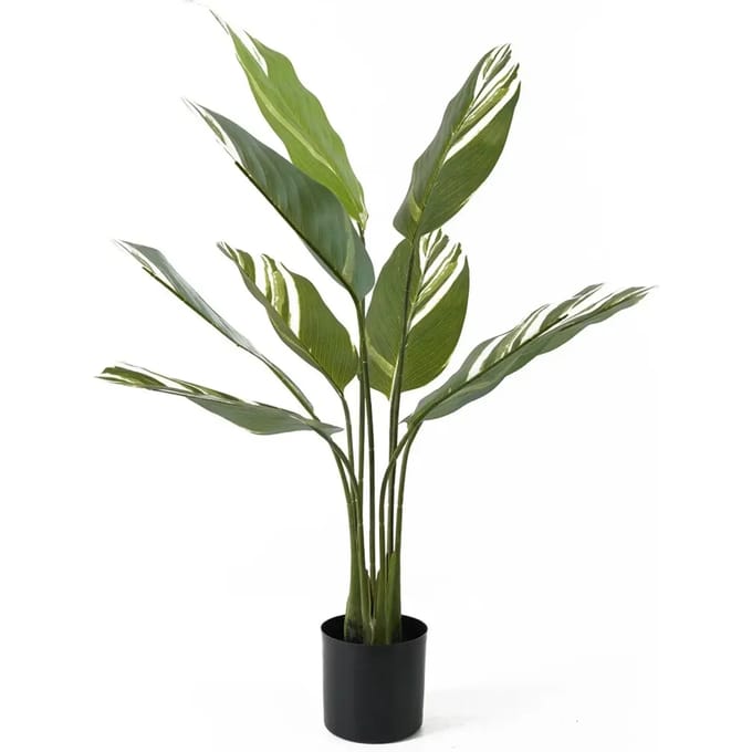 Present Time Kunstplant Calathea - Groen - 63x63x90cm - Modern