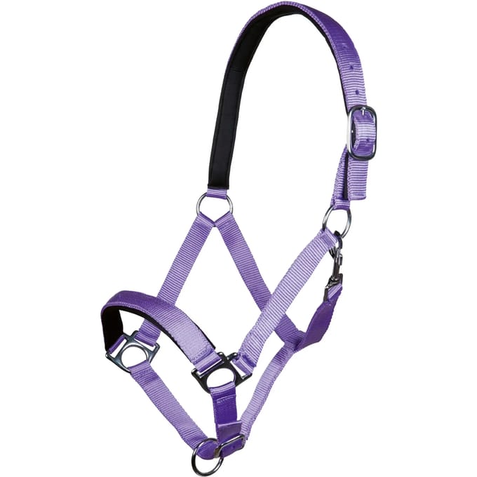 Halster voor paarden HKM Stars