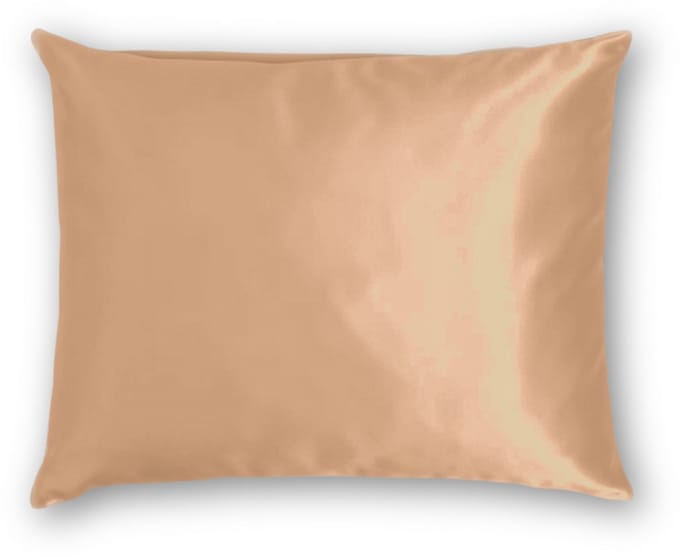 Zijden Kussensloop Desert Nude - 22MM - Silk Heaven - 60x60cm / Ritssluiting