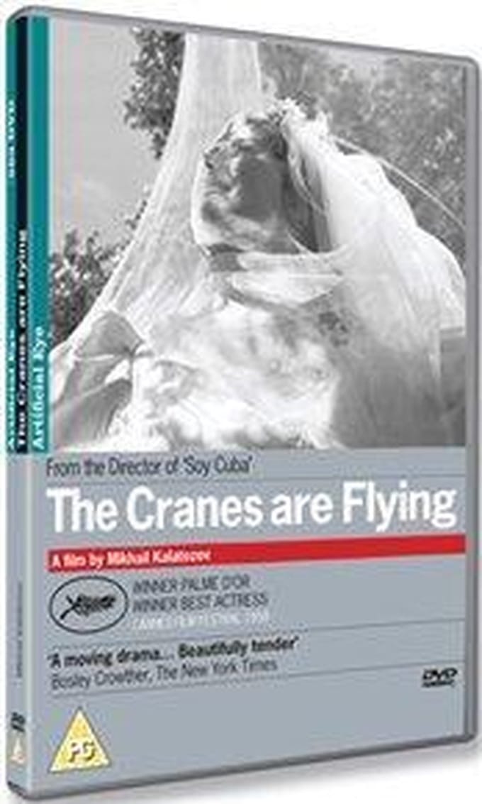 Cranes Are Flying