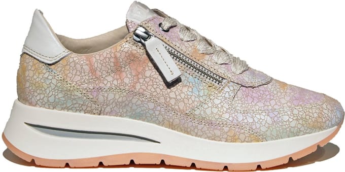 DL Sport 6561 Multicolor