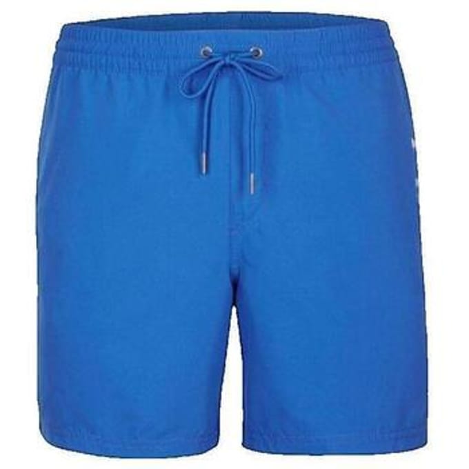 Korte Broek O'neill Shorts Cali Bleu pour Homme