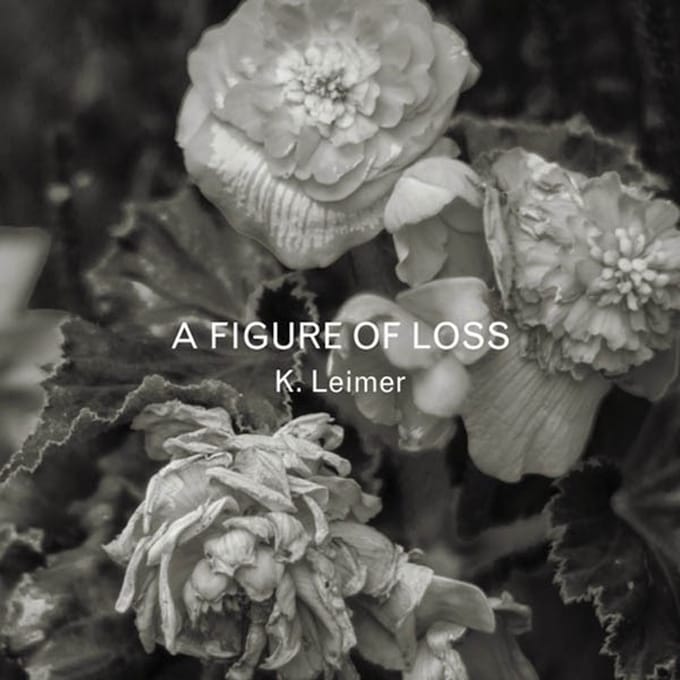 K. Leimer - A Figure Of Loss (CD)