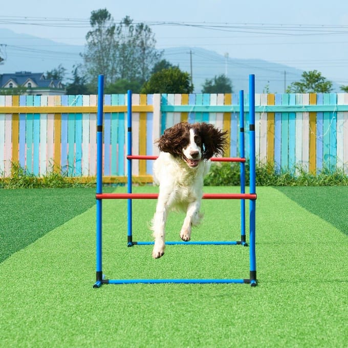Équipement d'entraînement d'agilité pour chien Ensemble de 7 pièces avec obstacles 2 tunnels Anneau de saut