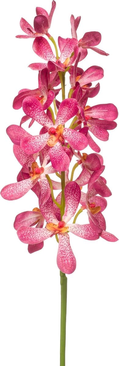 Emerald - Kunstbloem Vanda RT 80cm roze - Kunstplant voor binnen