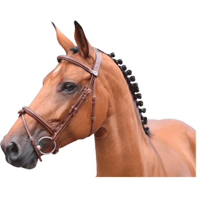 Engels gecombineerd hoofdstel met anatomische neusriem Jump'In Thursday